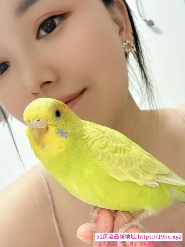 半套浅浅