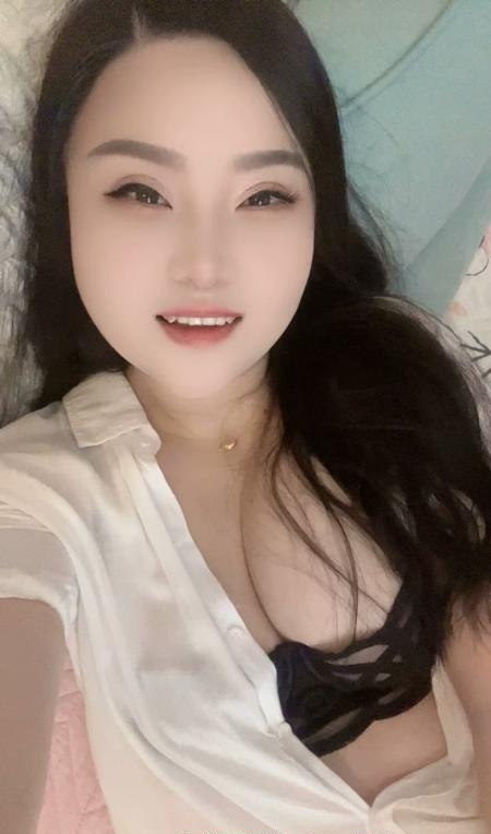 普陀真如猫猫