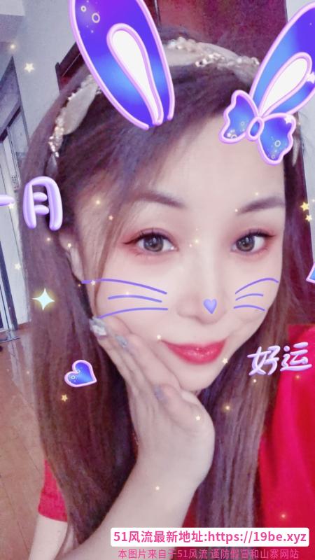 北辰小燕子