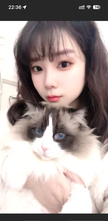 性价比少妇